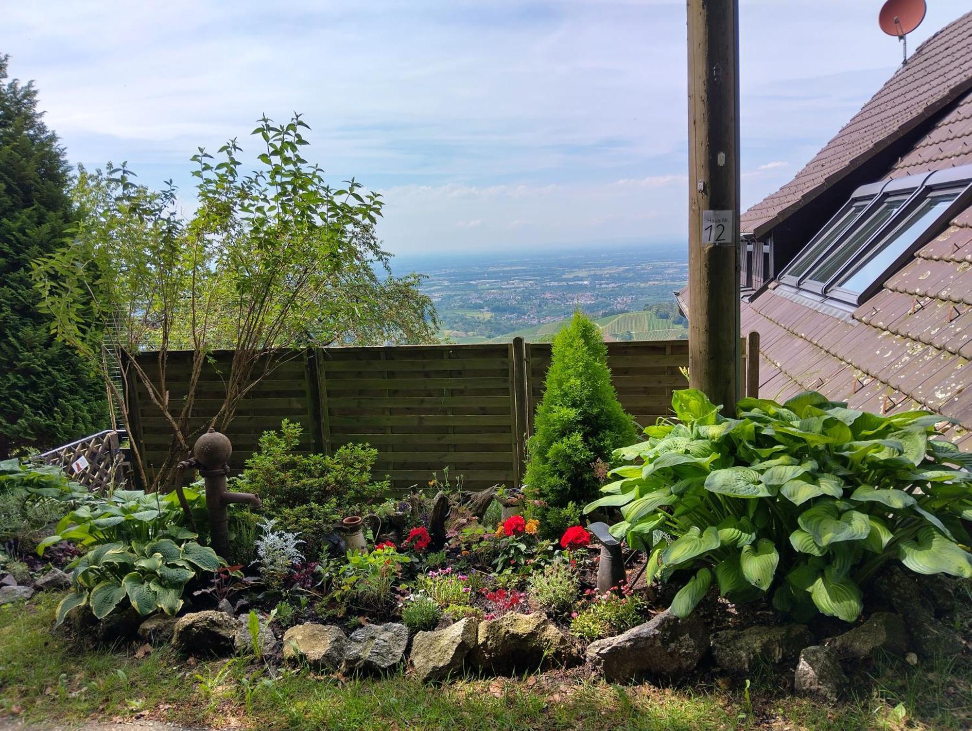 Apartamento Haus "Guck - Ins - Tal" Sasbachwalden Exterior foto
