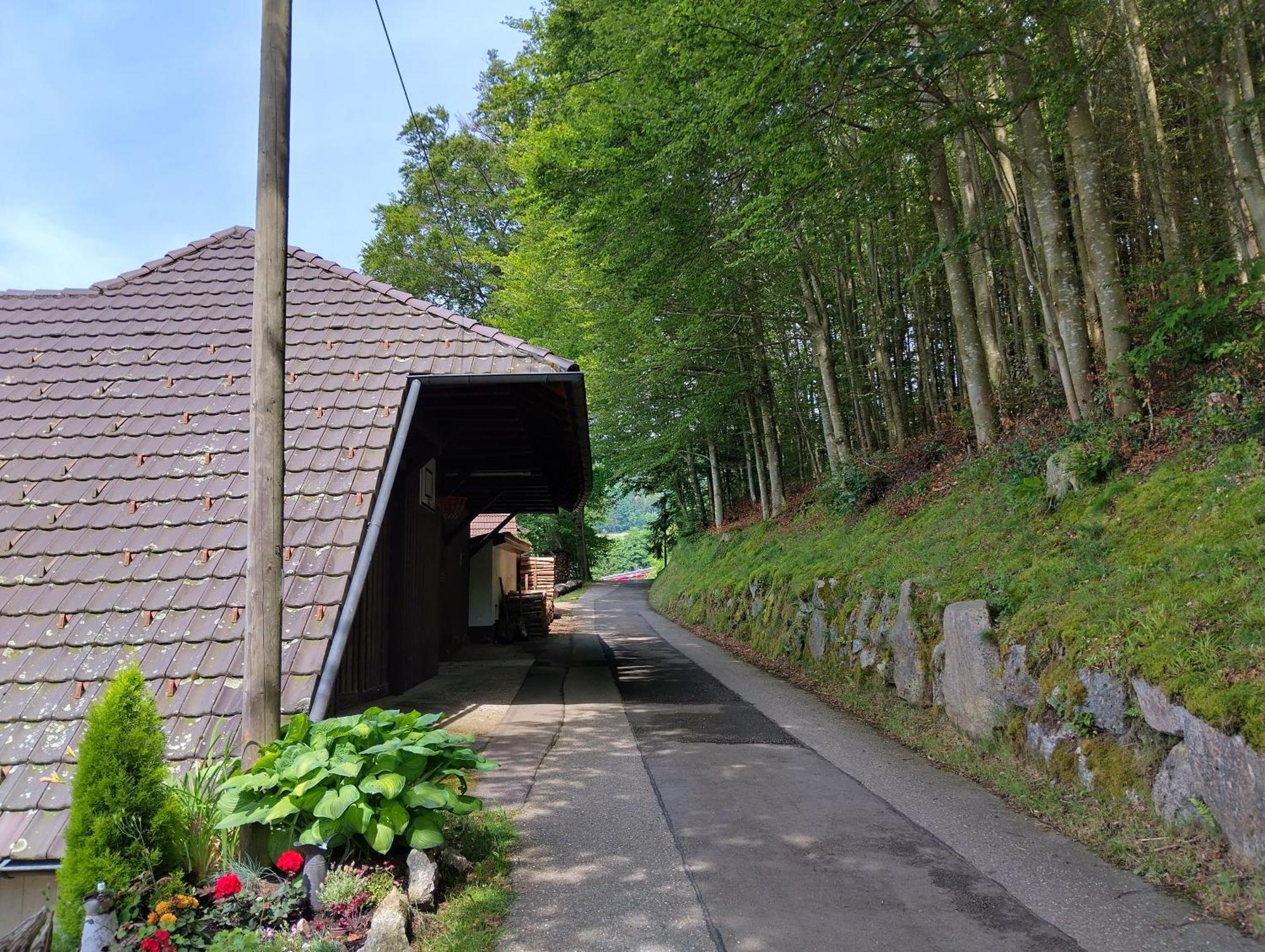 Apartamento Haus "Guck - Ins - Tal" Sasbachwalden Exterior foto
