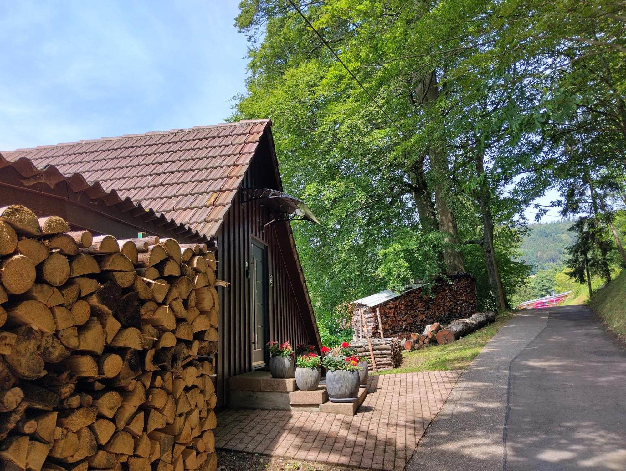 Apartamento Haus "Guck - Ins - Tal" Sasbachwalden Exterior foto